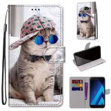 For Samsung Galaxy A5 2017 Coloured Drawing Cross Texture Horizontal Flip PU Leather Case with Holder & Card Slots & Wallet & Lanyard(Oblique Hat Blue Mirror Cat)