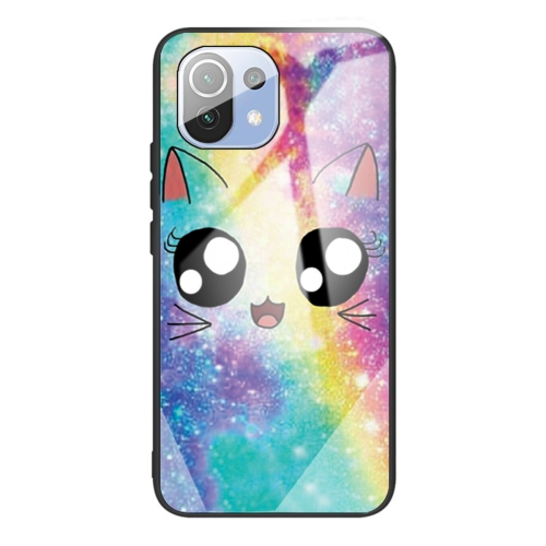 For Xiaomi Mi 11 Colorful Painted Glass Shockproof Protective Case(Big eyes animal)