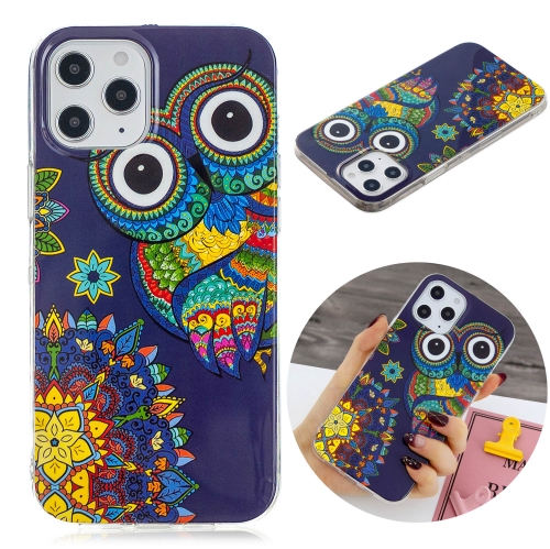 For iPhone 12 Pro Max Luminous TPU Soft Protective Case(Blue Owl)