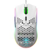 HXSJ J900 6 Keys RGB Lighting Programmable Gaming Wired Mouse (White)