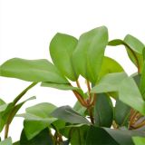 Planta Artificial Laurel con Maceta Verde 40 cm