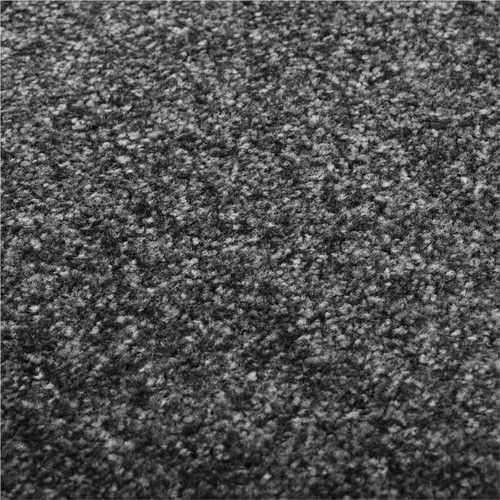 Doormat-Washable-Anthracite-40x60-cm-453732-1._w500_