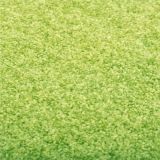 Felpudo Lavable Verde 60×90 cm