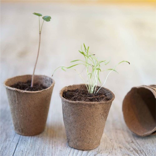 Nature-Peat-Pots-96-pcs-6x6-cm-447150-1._w500_