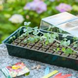 Nature Propagator Mini Kit 4×16 Celdas