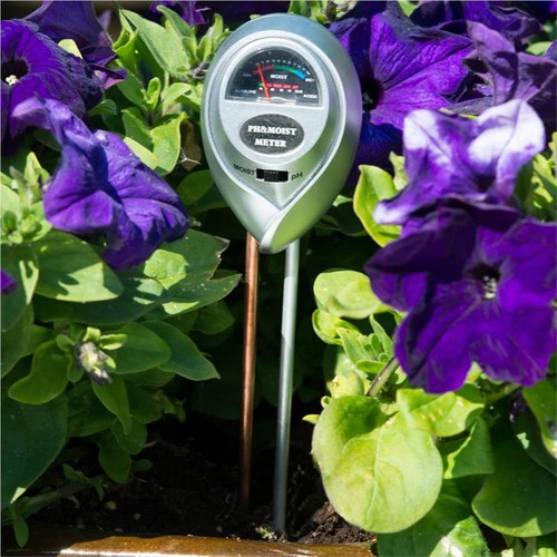 Nature-pH-and-Moisture-Meter-6x3-8x26-cm-437319-1._w500_