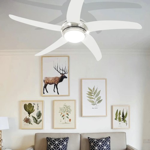 Ornate-Ceiling-Fan-with-Light-128-cm-White-428452-1._w500_