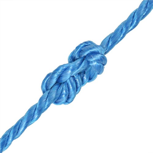 Twisted-Rope-Polypropylene-10-mm-100-m-Blue-443198-1._w500_