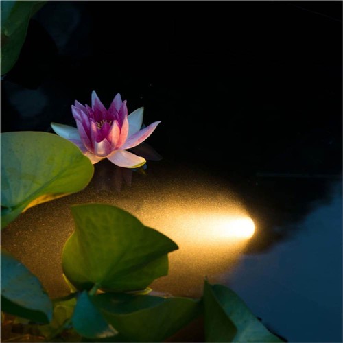 Ubbink-Underwater-Pond-Lighting-LED-Aqua-Spotlight-6W-435876-1._w500_